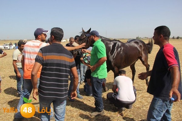 horse race 0602 (2).JPG